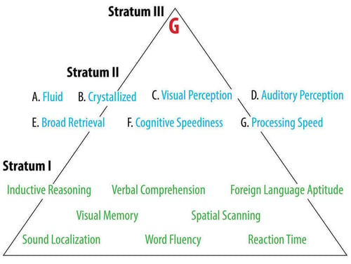 Caroll's Model of Intelligence pyramid